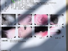 -厦门大学附属中山医院(本部)