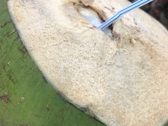 -东山羊庄(八卦岭店)