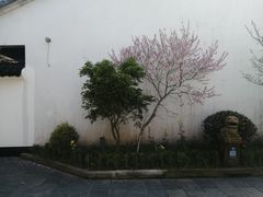 -南汇桃花村