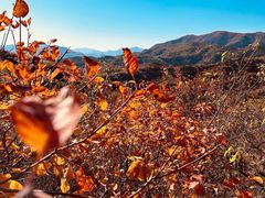 -北京西山国家森林公园