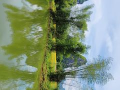 -明仕田园
