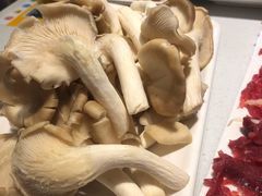 -古乐牛香·鲜牛肉牛杂火锅(吴江三里桥运东商业广场店)