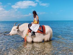 -青海湖国家重点风景名胜区