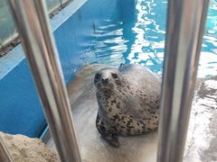 -成都浩海立方海洋公园