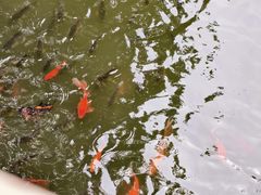 -莲池书院博物馆