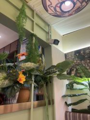 -深圳柏颜医疗美容诊所