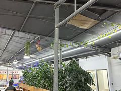 -八仔大富楼·河鲜(西江店)