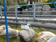 -莲湖公园