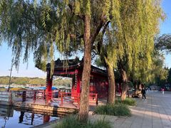 -长春市南湖公园