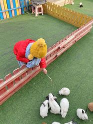 -萌宠亲子动物乐园(槐房万达店)