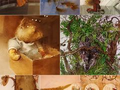 -【朵云轩艺术中心】博洛尼亚插画展·中国巡展·上海站