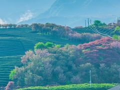 -四明山国家森林公园