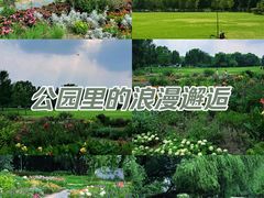 -海淀公园