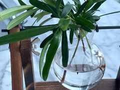 -龙之梦万丽酒店青餐厅