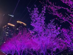 -西北湖绿化广场