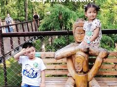 -黄海国家森林公园