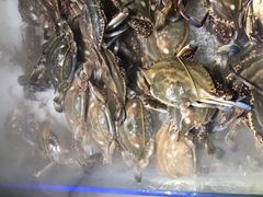 -伊尔曼都自助餐厅(102国道店)