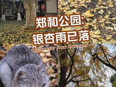 -郑和公园