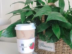 -树夏(金楠天街店)