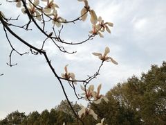 -丰台花园