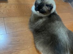 -江燕路万科里