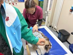 -美联众合爱康动物医院•复杂内科•肿瘤科•牙科•腔镜诊疗中心