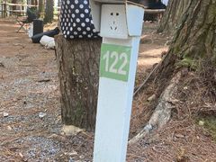 -重庆睡佛山森林公园