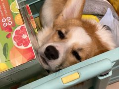 -扬大康源乳业鲜奶吧(大学北路店)