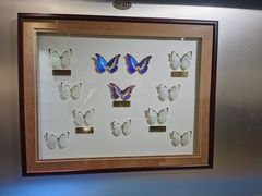 -上海昆虫博物馆