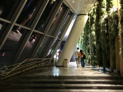 -WFC会仙楼观景台