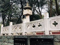 -赭山公园