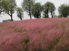 -汉长安城未央宫国家考古遗址公园