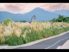 -三垟湿地