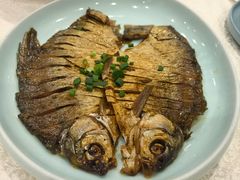 -洞庭家宴·头牌甲鱼(广渠门店)