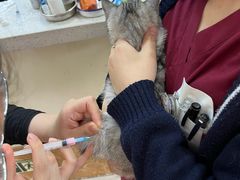 -美联众合动物医院·24h京西诊疗中心