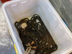 -味道名家·手撕盘龙鳝