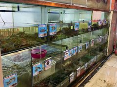 水产区-三亚老渔民海鲜店