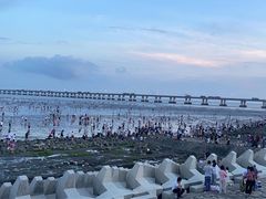 -南汇新城海滩