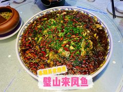 -新概念来凤鱼(璧山店)