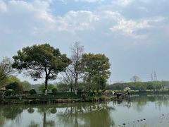 -八卦田遗址公园