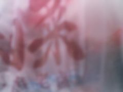 -老鼎万春卤菜(五代传承创始老店)