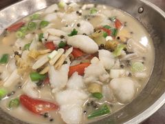 -糊涂兔毛毛菜(八里庄店)