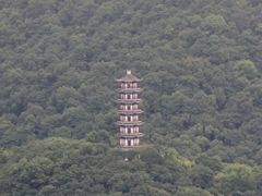 -黄贤森林公园