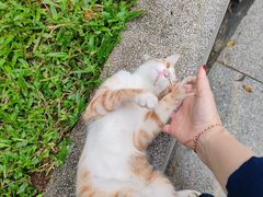 -十九路军淞沪抗日阵亡将士陵园