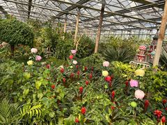 -南宫五洲植物乐园