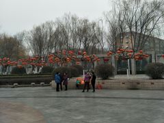 -西清公园