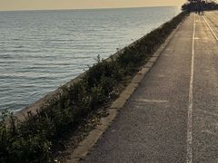 -贡湖湾湿地公园