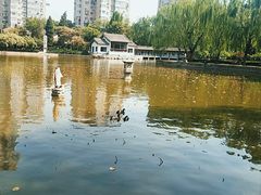 -团结湖公园