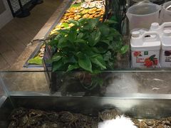 -欢乐牧场海鲜烤肉自助(牡丹园店)