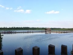 iphone_upload_pic-溱湖国家湿地公园